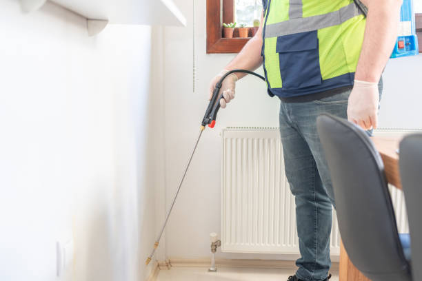 Trusted Desoto Lakes, FL Pest Control Experts