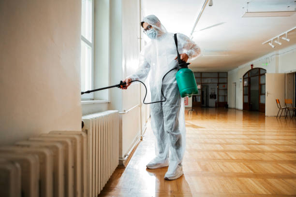 Best Best Pest Control Companies  in Desoto Lakes, FL
